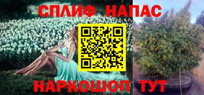 таблы Лесосибирск