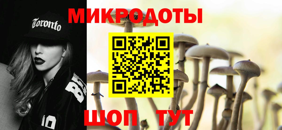 Псилоцибиновые грибы Psilocybe Дербент